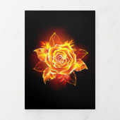 Rose des blühenden Feuers Dreifach-gefaltete Programmkarte (Cover)