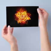Rose des blühenden Feuers Flyer (Handgriff)
