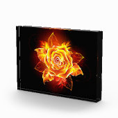 Rose des blühenden Feuers Fotoblock (Rechts)