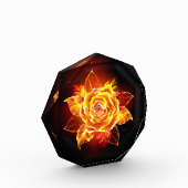 Rose des blühenden Feuers Fotoblock (Links)