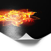 Rose des blühenden Feuers Fotodruck (Ecke)