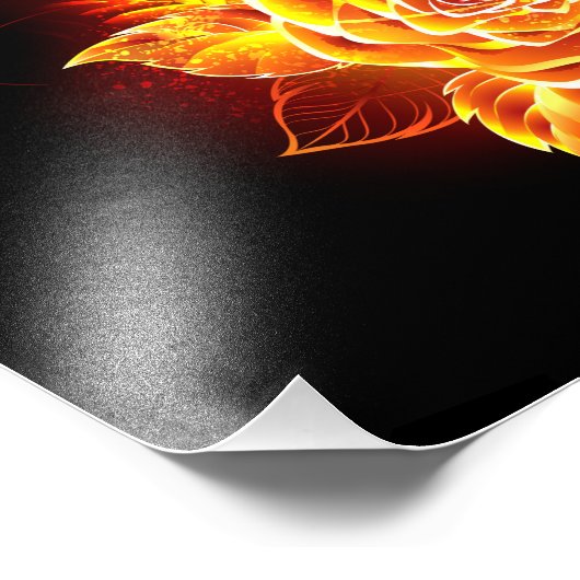 Rose des blühenden Feuers Fotodruck (Ecke)