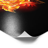Rose des blühenden Feuers Fotodruck (Ecke)