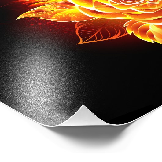 Rose des blühenden Feuers Fotodruck (Ecke)