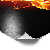 Rose des blühenden Feuers Fotodruck (Ecke)