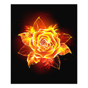 Rose des blühenden Feuers Fotodruck