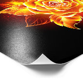 Rose des blühenden Feuers Fotodruck (Ecke)