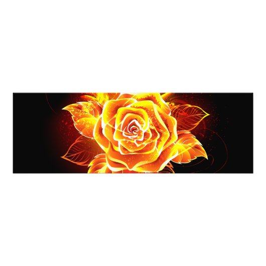 Rose des blühenden Feuers Fotodruck (Vorne)