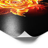 Rose des blühenden Feuers Fotodruck (Ecke)