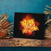 Rose des blühenden Feuers Fotoplatte (Seite)