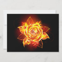 Rose des blühenden Feuers