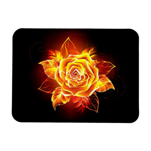 Rose des blühenden Feuers Magnet (Horizontal)