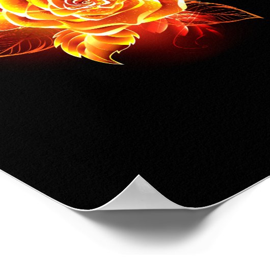 Rose des blühenden Feuers Poster (Ecke)