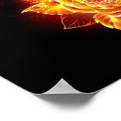 Rose des blühenden Feuers Poster (Ecke)