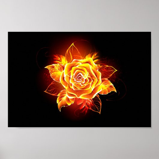 Rose des blühenden Feuers Poster (Vorne)