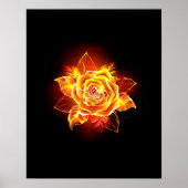 Rose des blühenden Feuers Poster (Vorne)