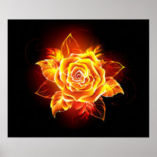 Rose des blühenden Feuers Poster
