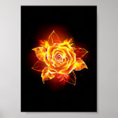Rose des blühenden Feuers Poster (Vorne)