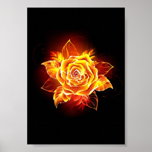 Rose des blühenden Feuers Poster (Vorne)