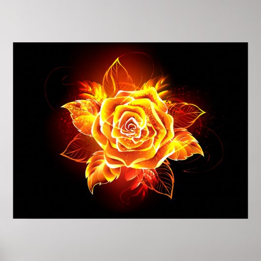 Rose des blühenden Feuers Poster (Vorne)