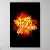 Rose des blühenden Feuers Poster (Vorne)