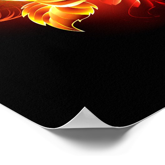 Rose des blühenden Feuers Poster (Ecke)