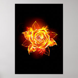 Rose des blühenden Feuers Poster
