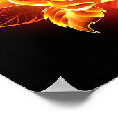 Rose des blühenden Feuers Poster (Ecke)