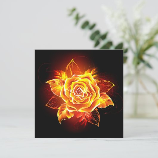 Rose des blühenden Feuers Programm (Stehend Vorderseite)