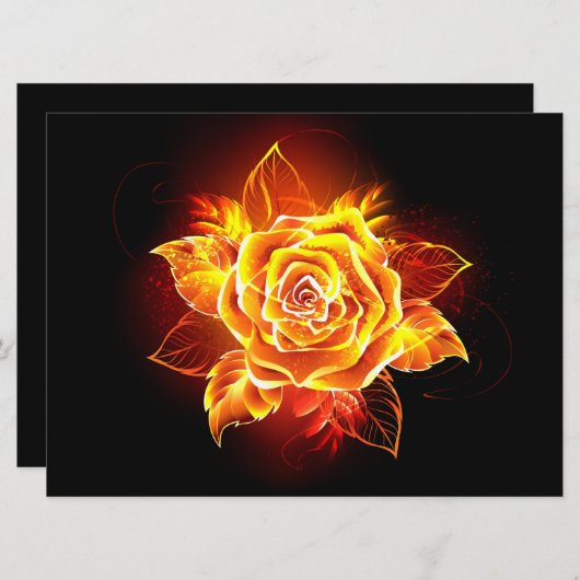 Rose des blühenden Feuers Programm (Vorne/Hinten)