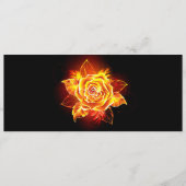 Rose des blühenden Feuers Programm (Vorderseite)