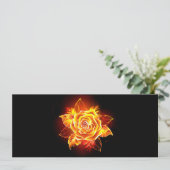 Rose des blühenden Feuers Programm (Stehend Vorderseite)