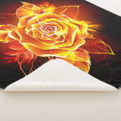 Rose des blühenden Feuers Sherpadecke (3/4)