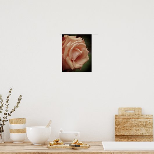 Rose des blühenden Peach Poster (Küche)