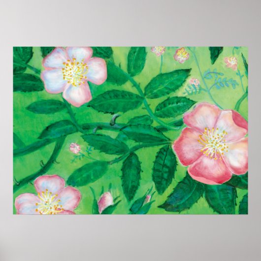 Rose des Hundes (Rosa Canina) Poster (Vorne)