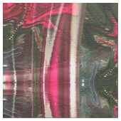 Rose des Mitgefühls...Stoff Stoff (Nahaufnahme)