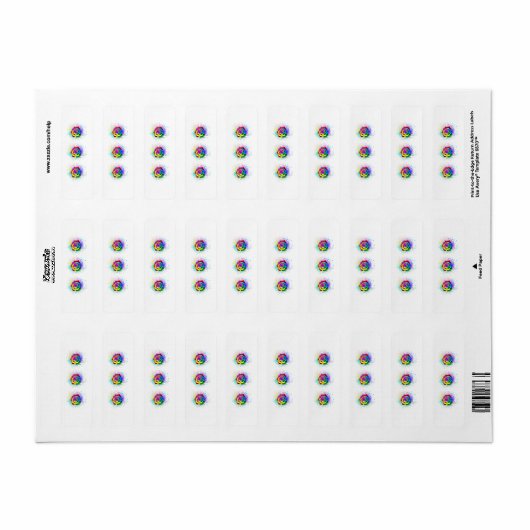 Rose des Regenbogens (Vorne)