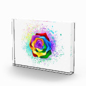 Rose des Regenbogens Fotoblock (Rechts)