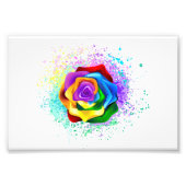 Rose des Regenbogens Fotodruck (Vorne)