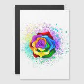 Rose des Regenbogens Magneteinladung (Vorne/Hinten)