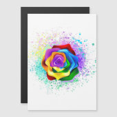 Rose des Regenbogens Magneteinladung (Vorne/Hinten)