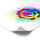 Rose des Regenbogens Poster (Ecke)