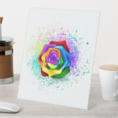 Rose des Regenbogens Sockelschild (In Situ)