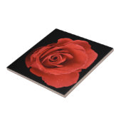 Rose des Roten Dramas Fliese (Seite)
