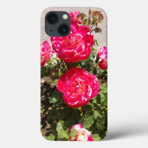 Rose des Roten Gartens iPhone 13 Hülle