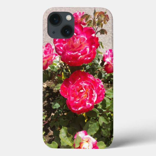 Rose des Roten Gartens Case-Mate iPhone Hülle (Rückseite)