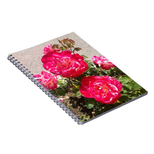 Rose des Roten Gartens Notizblock (Rechte Seite)