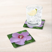 Rose des Sharon Party Untersetzer (Vor Ort)