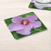 Rose des Sharon Party Untersetzer (angewinkelt)