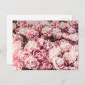 Rose des Valentinstag Feiertagspostkarte (Vorne/Hinten)